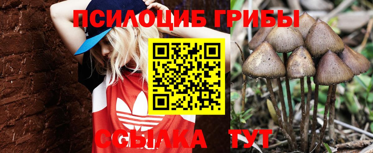 Галлюциногенные грибы Magic Shrooms Гудермес