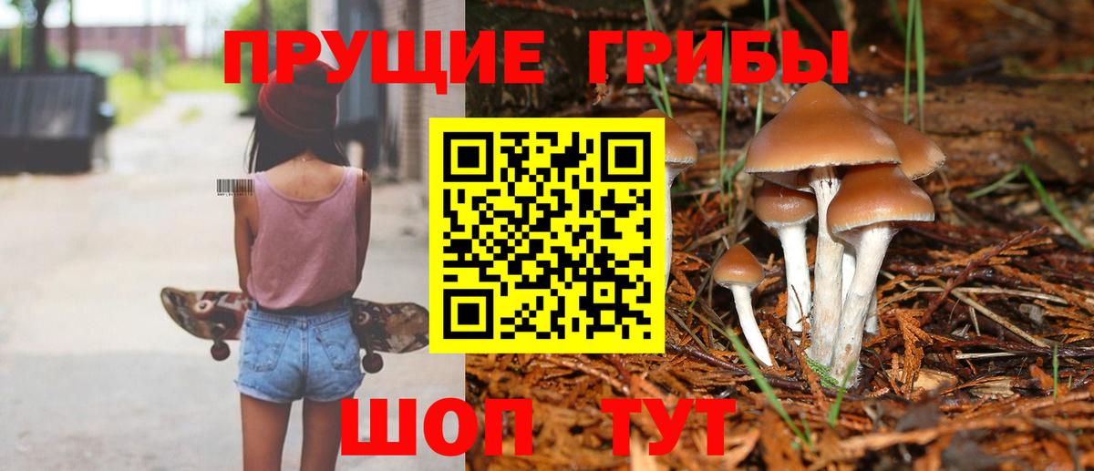 Псилоцибиновые грибы Psilocybe  Галлюциногенные грибы ЛСД  Гудермес  Вход с VPN 